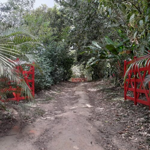 entrada do sitio sempre verde